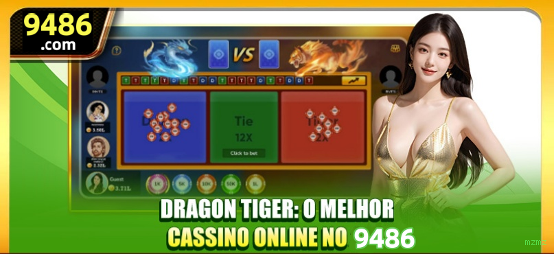 Login seguro na mzmz